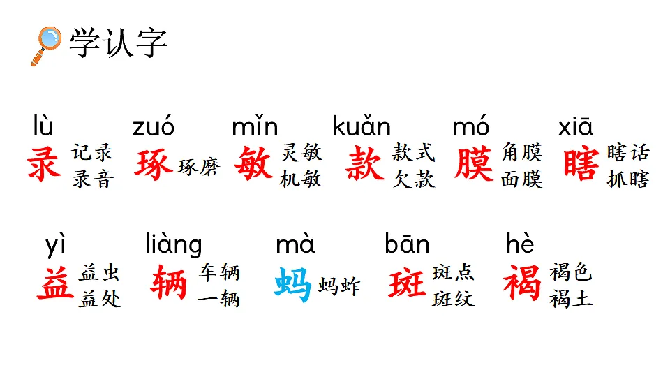 4 昆虫备忘录【优质版】第6页