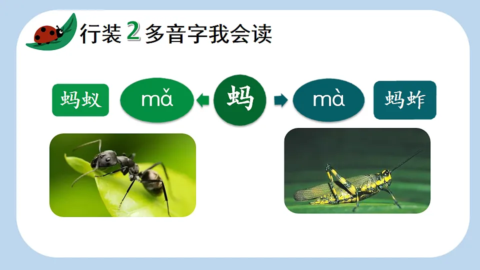 4 昆虫备忘录【新课标版】第5页