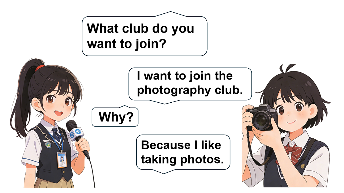 17806567第4页