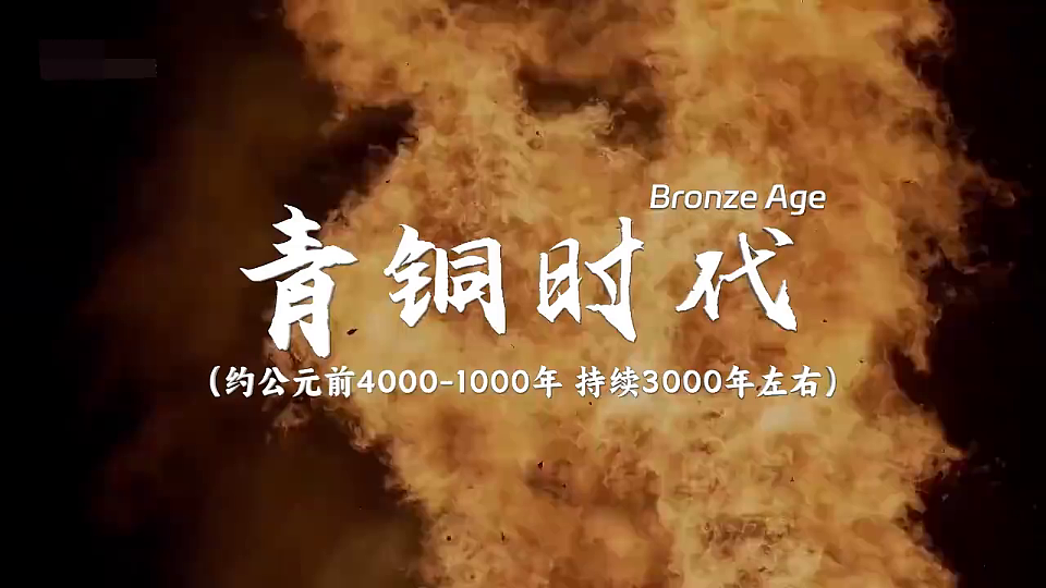 17806573第7页