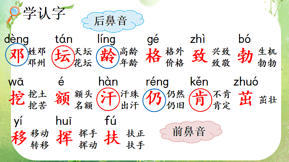 4 邓小平爷爷植树【优质版】第5页