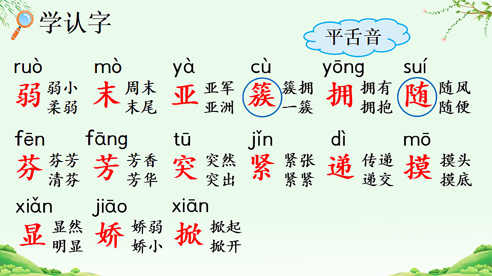 7 我不是最弱小的【优质版】第5页