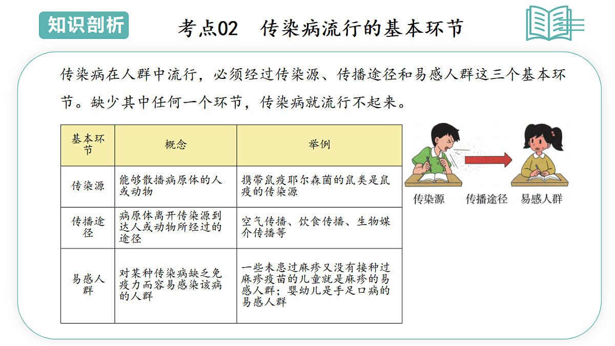 17808669第6页