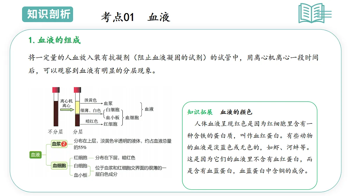 17808671第3页
