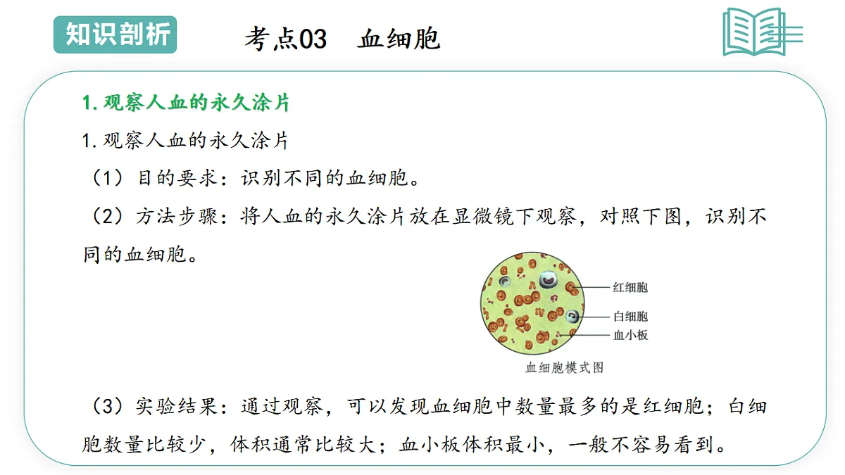 17808671第6页