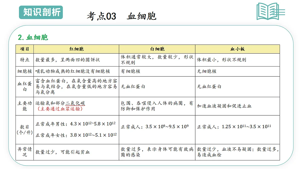 17808671第7页