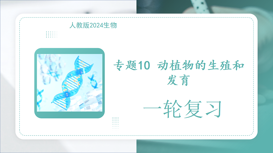 17808674第1页
