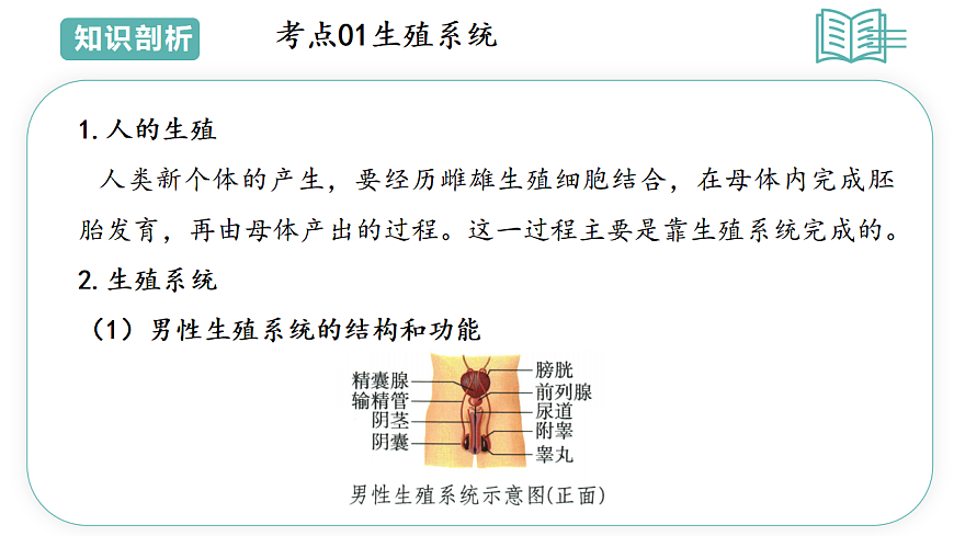 17808674第5页