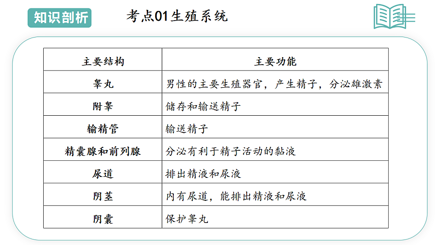 17808674第6页