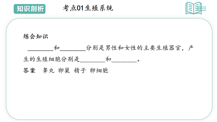 17808674第7页