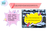 小学科学新教科版三年级下册第一单元2.利用自然物辨别方向  教学课件（2026春）