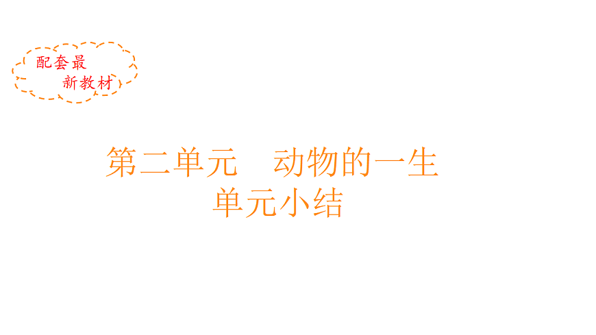 17809243第1页