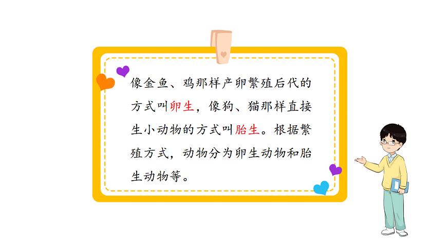 17809243第6页