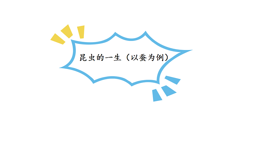 17809243第8页
