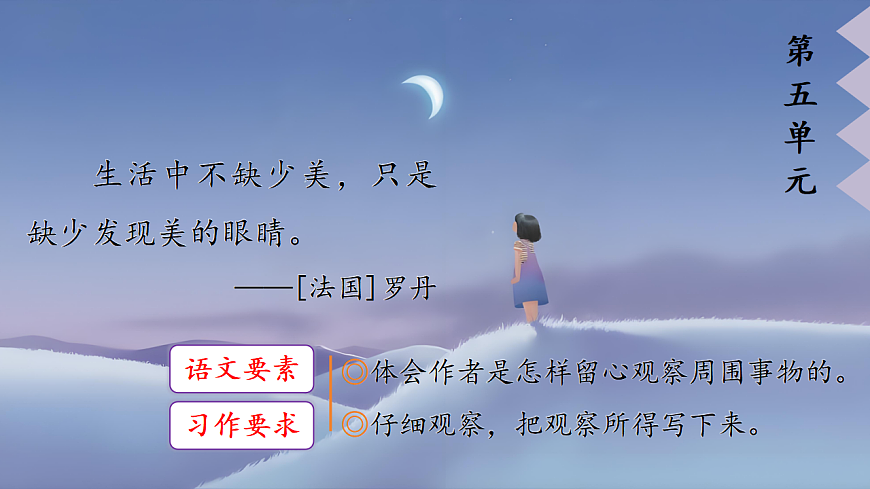 1.《习作：我们眼中的缤纷世界》ppt课件第4页