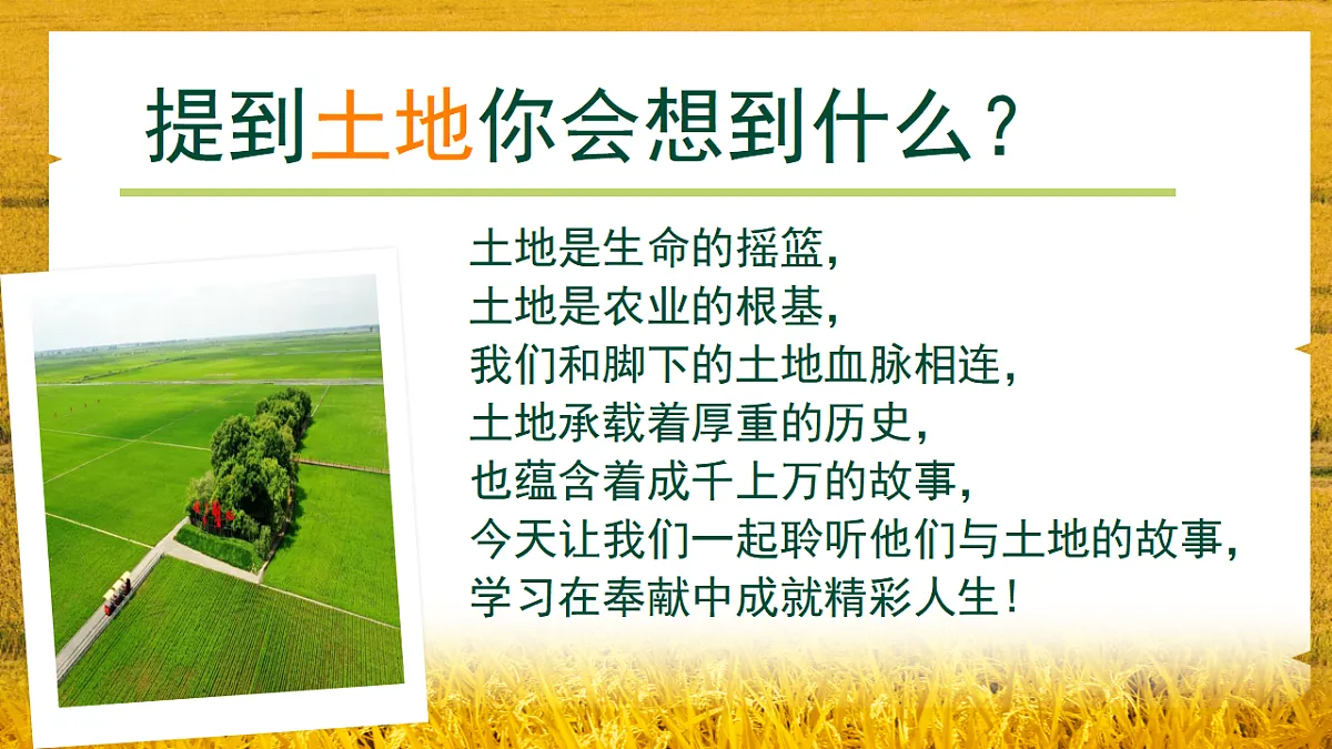 17809980第1页