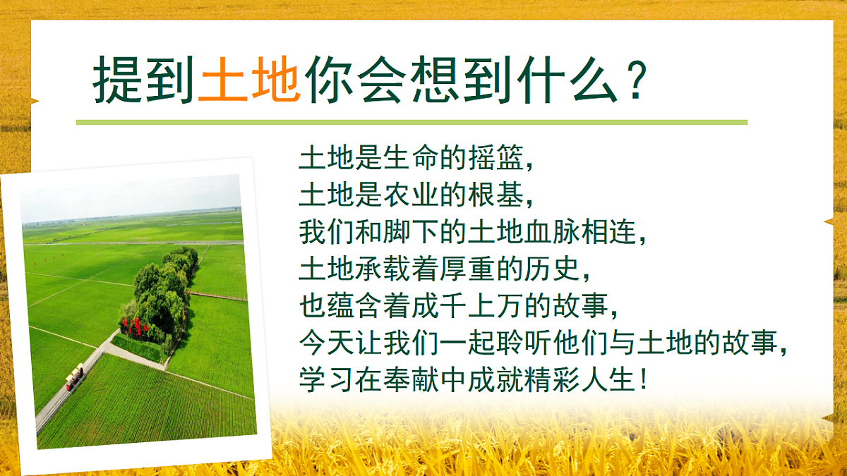 17809980第1页