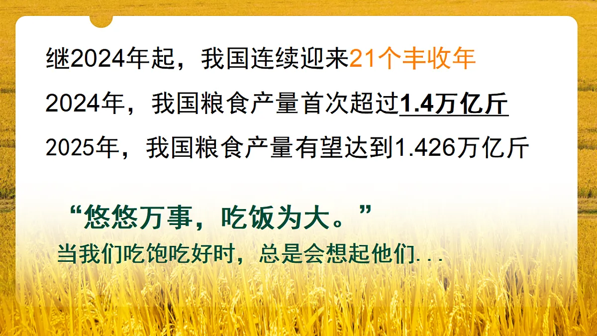17809980第2页