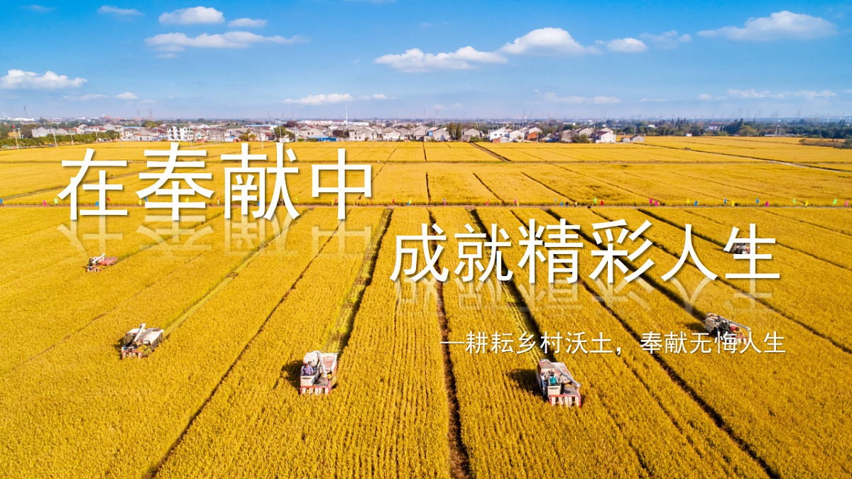17809980第3页