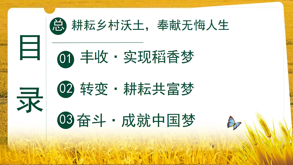 17809980第5页