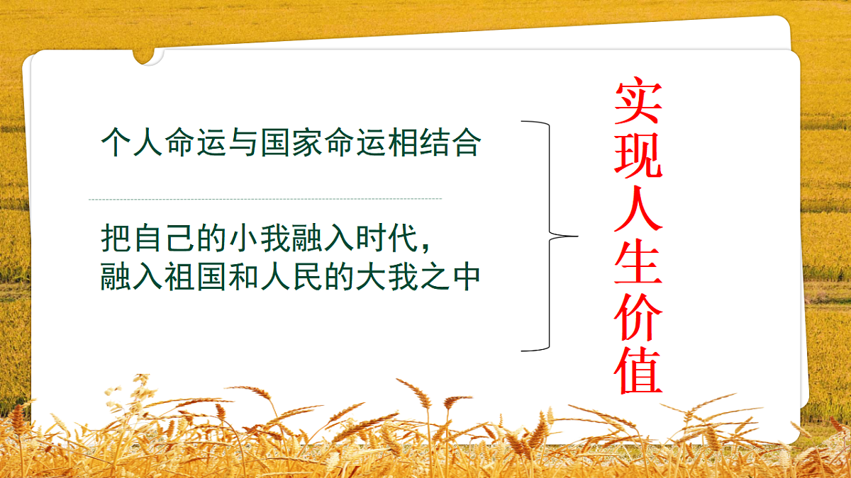 17809980第8页