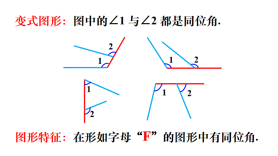 17810515第5页