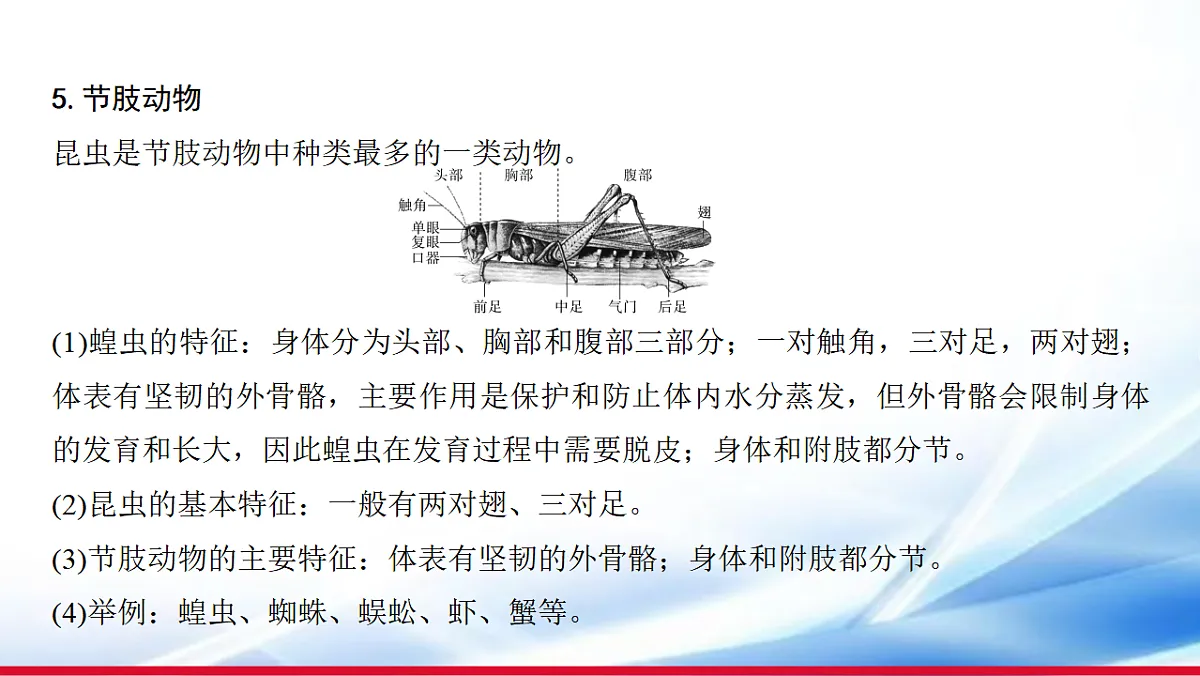 17810643第6页