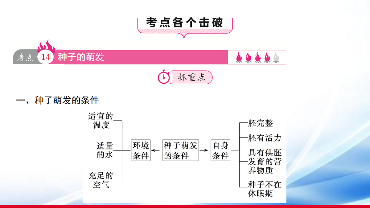 17810644第3页