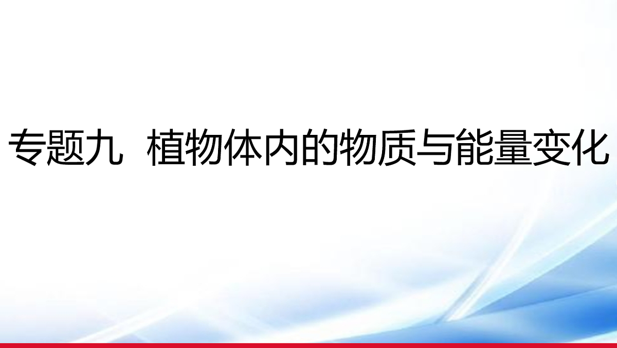 17810645第1页