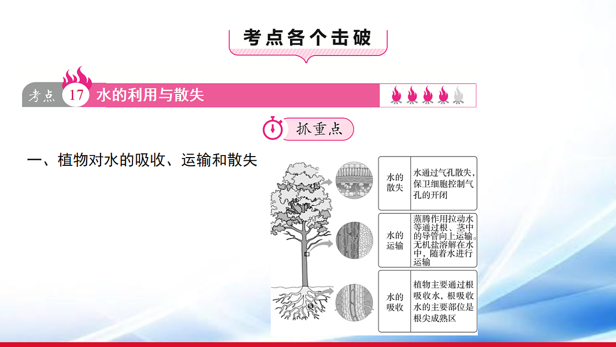 17810645第3页