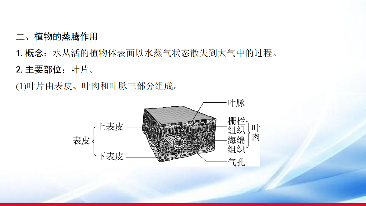17810645第4页