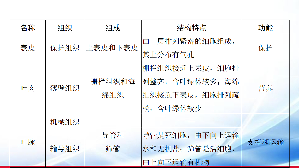 17810645第5页
