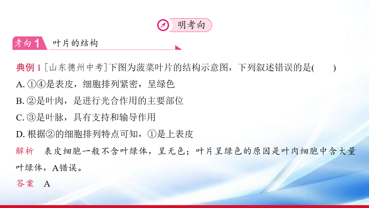 17810645第8页
