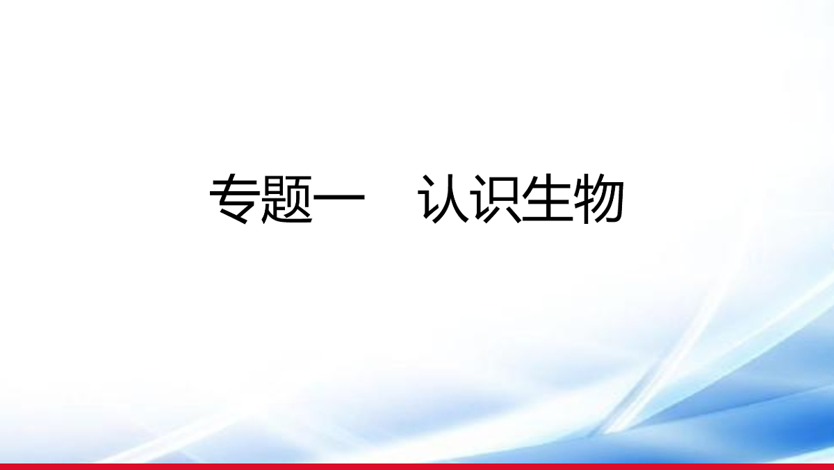 17810646第1页