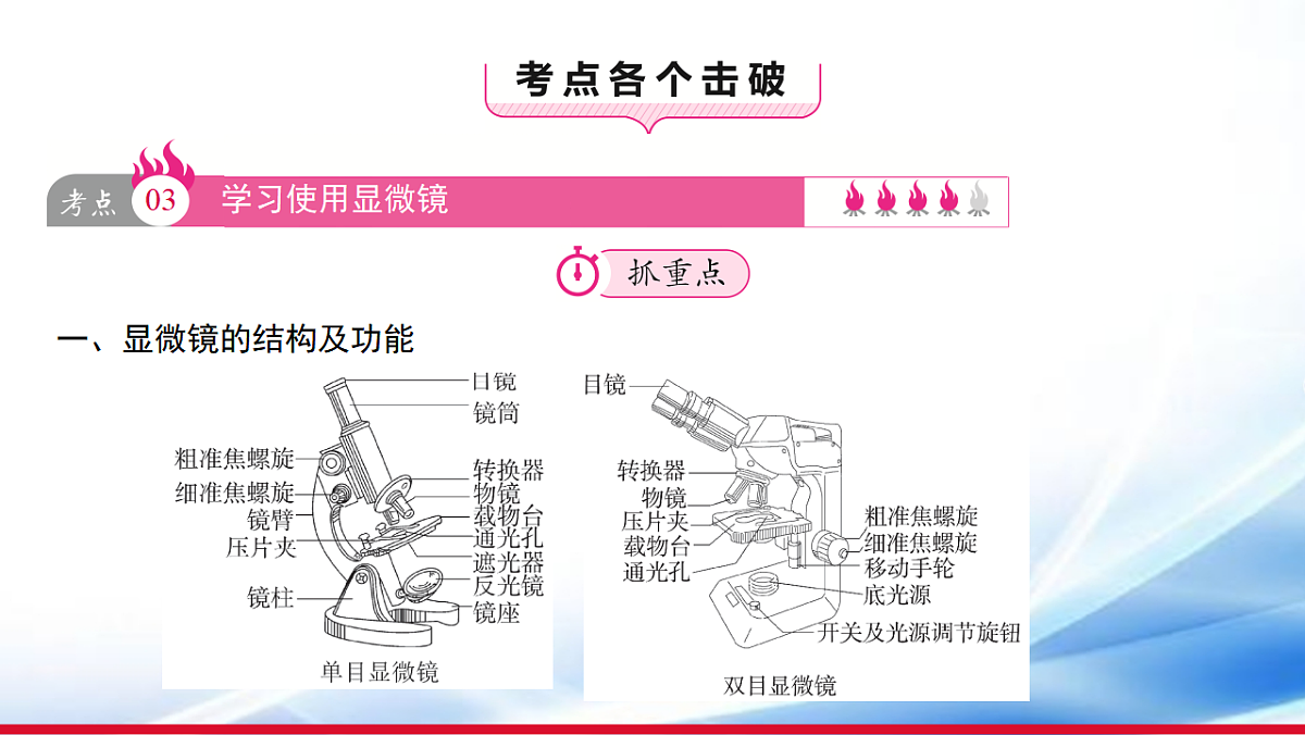 17810648第3页