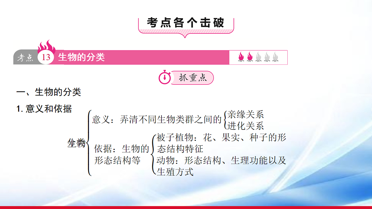 17810649第3页