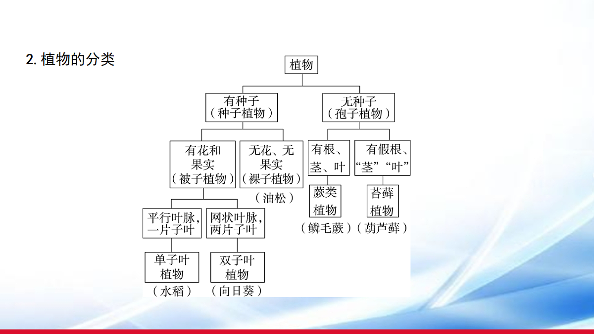 17810649第4页