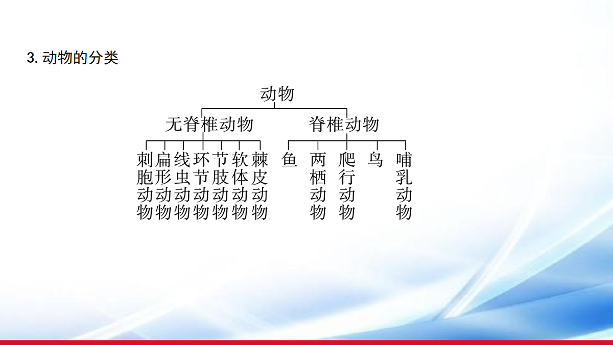 17810649第5页