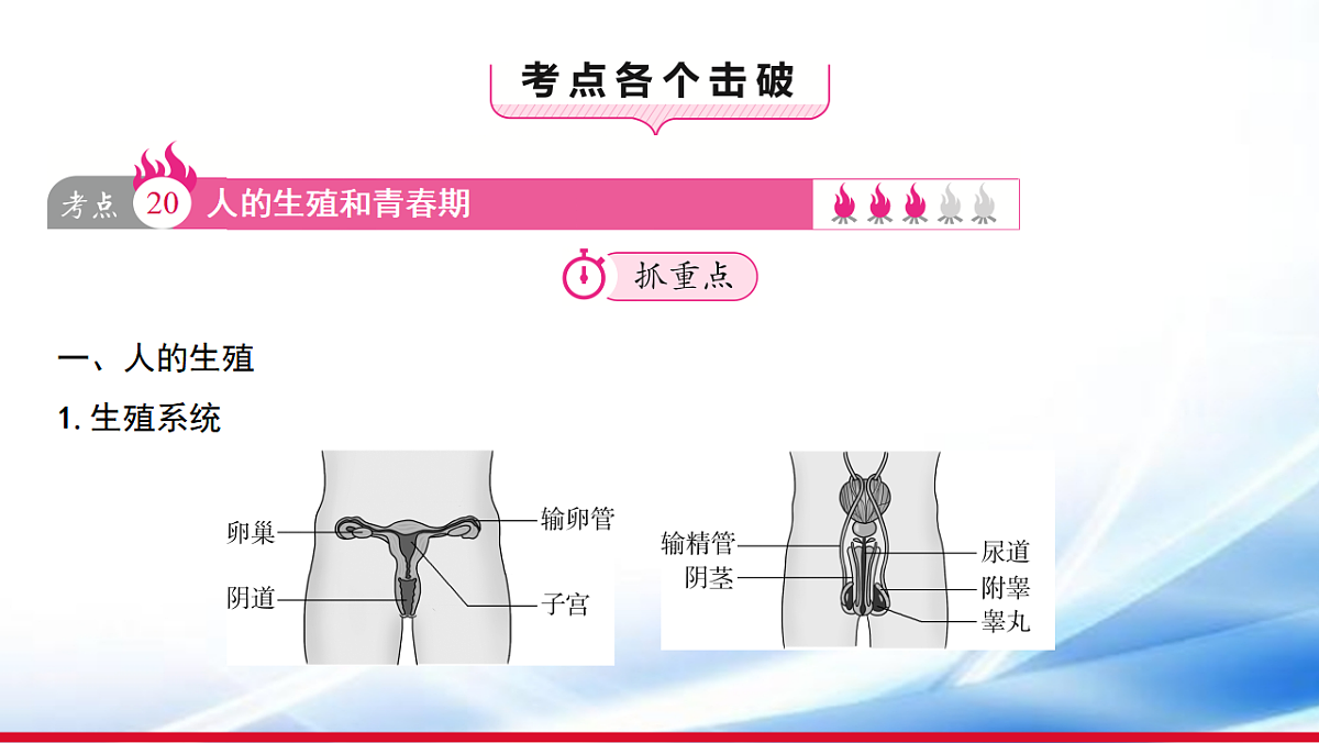 17810650第3页