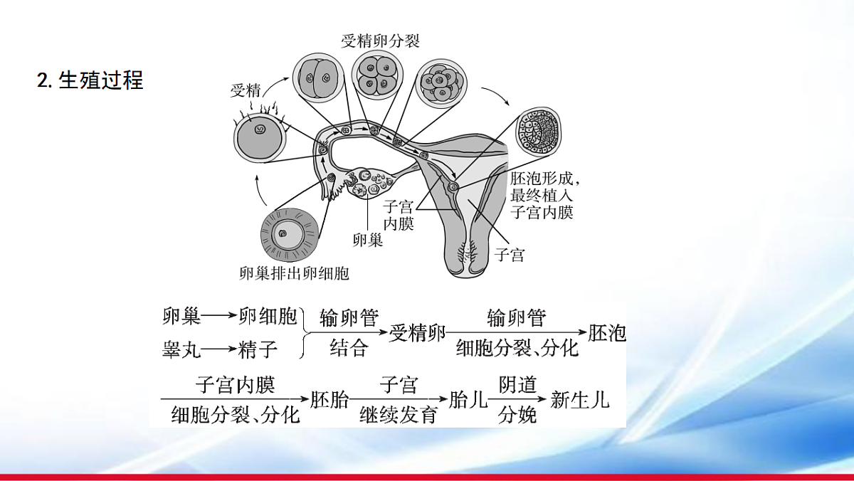 17810650第5页