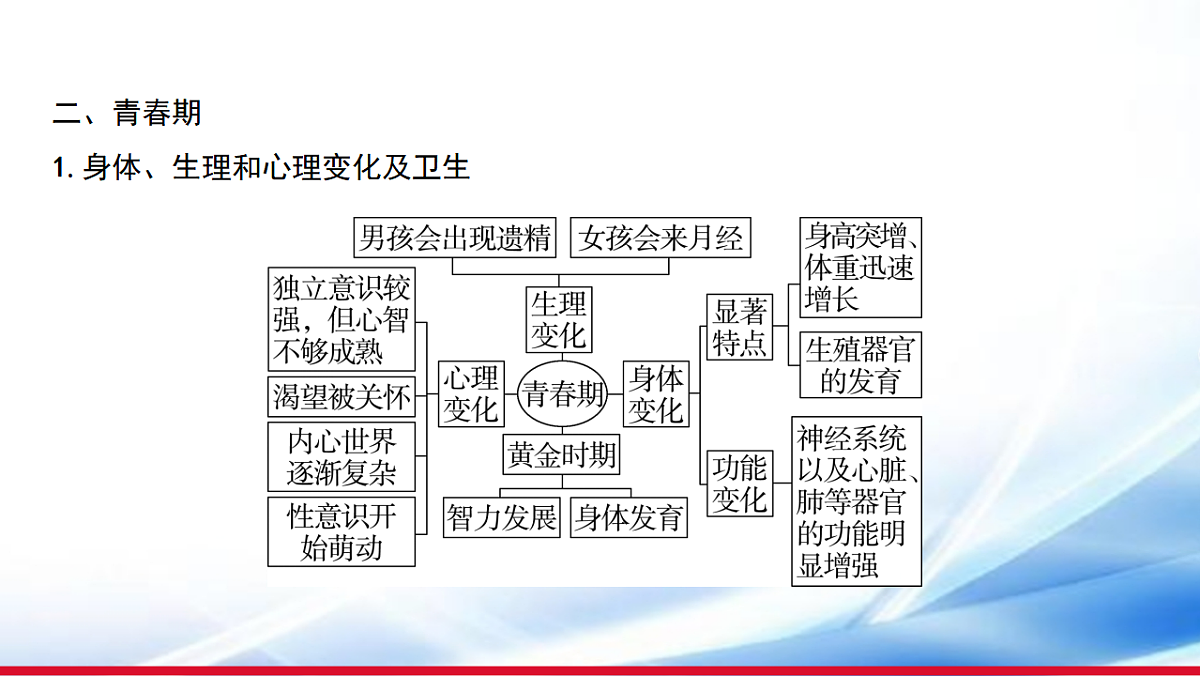 17810650第7页