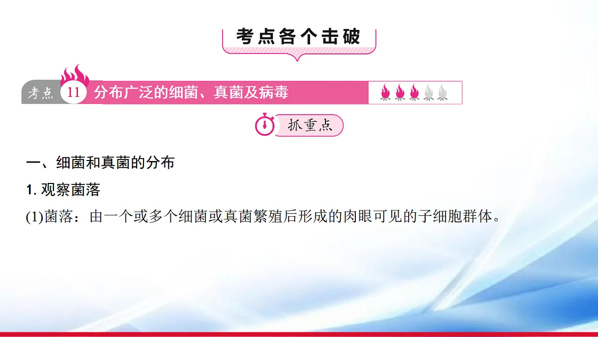 17810651第3页