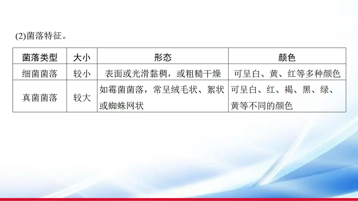 17810651第4页