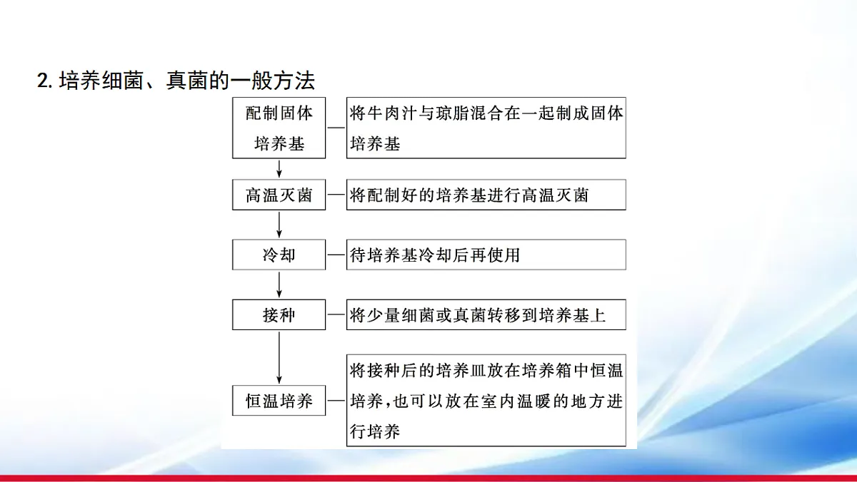17810651第5页