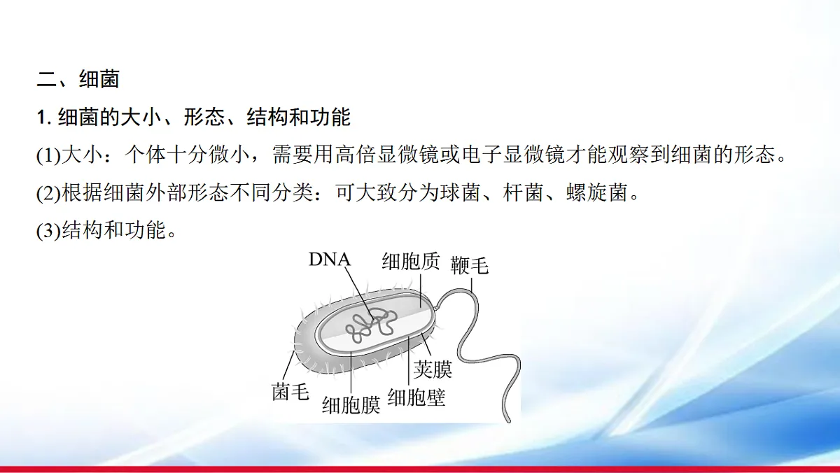 17810651第7页