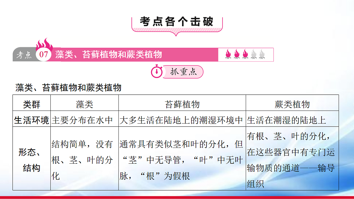 17810652第3页