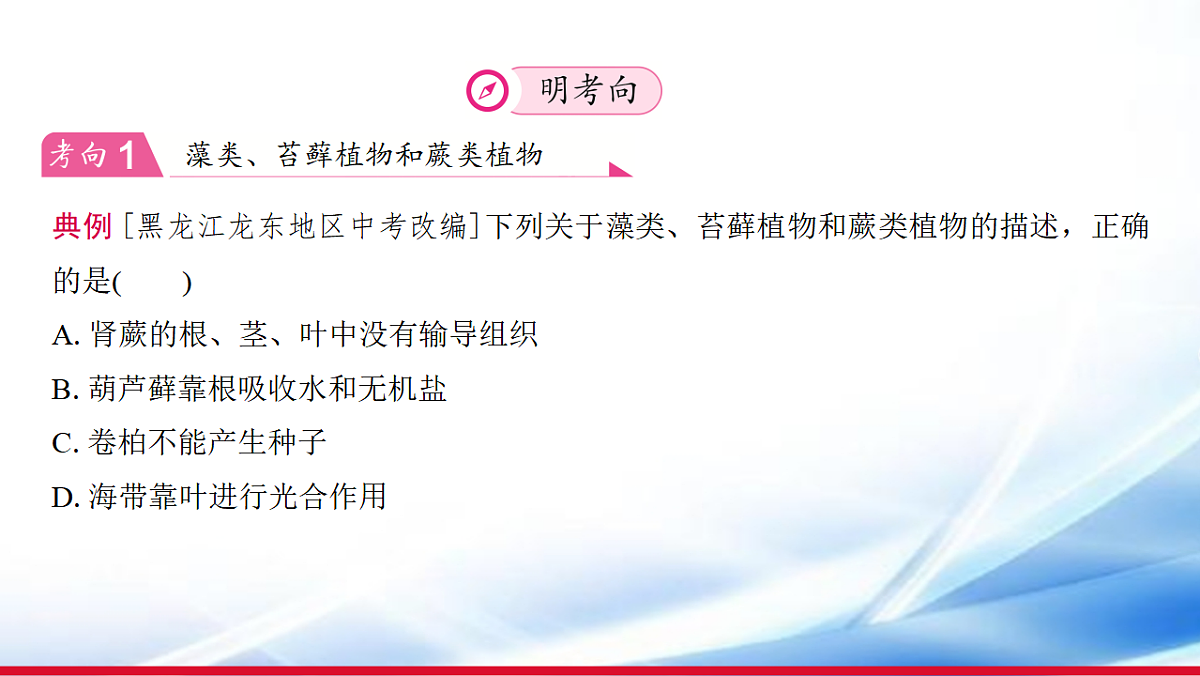 17810652第5页