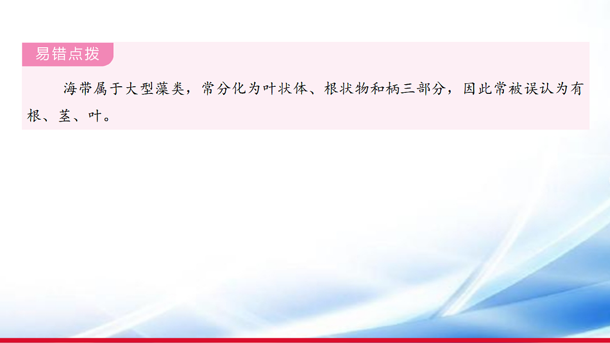 17810652第7页