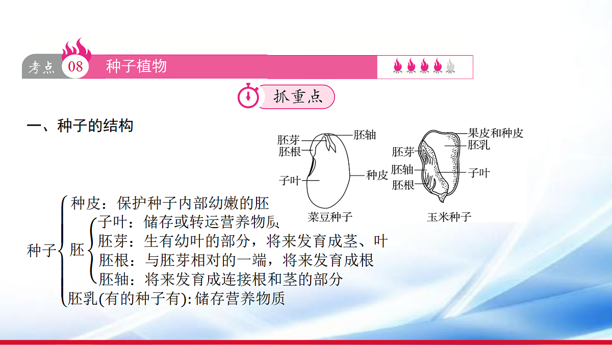 17810652第8页