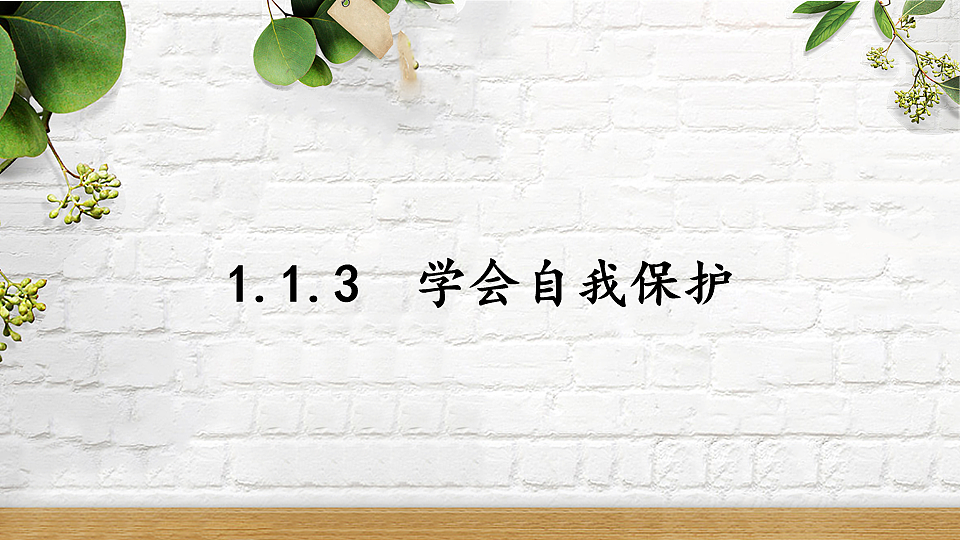 17810667第1页